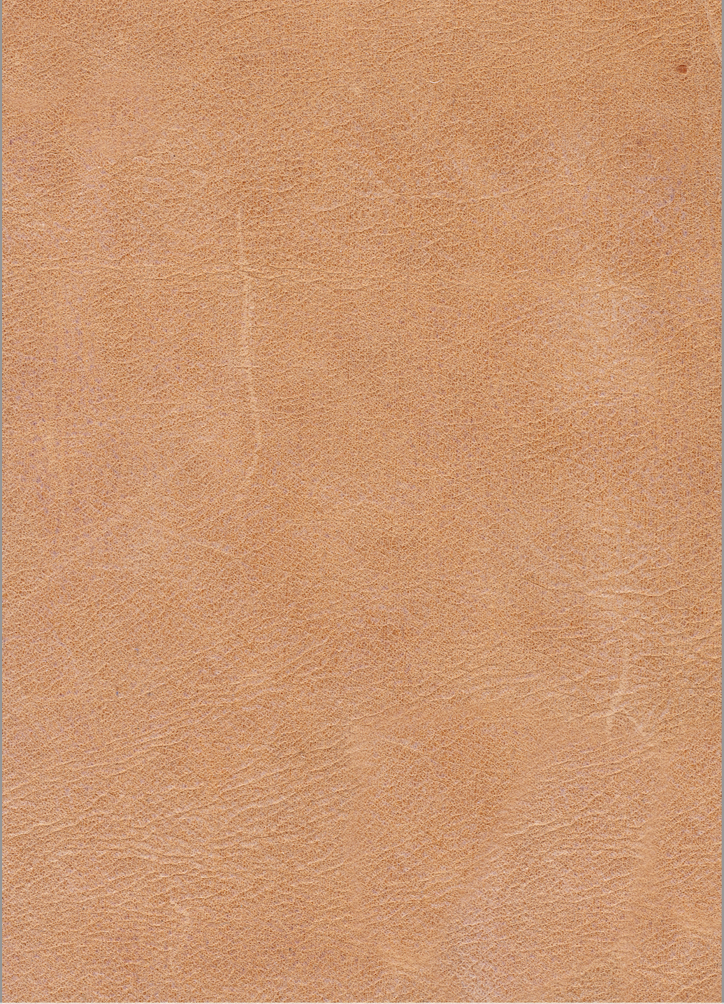 Gretchen Express Ship 48" Top Grain Leather Chair & Half - Cider