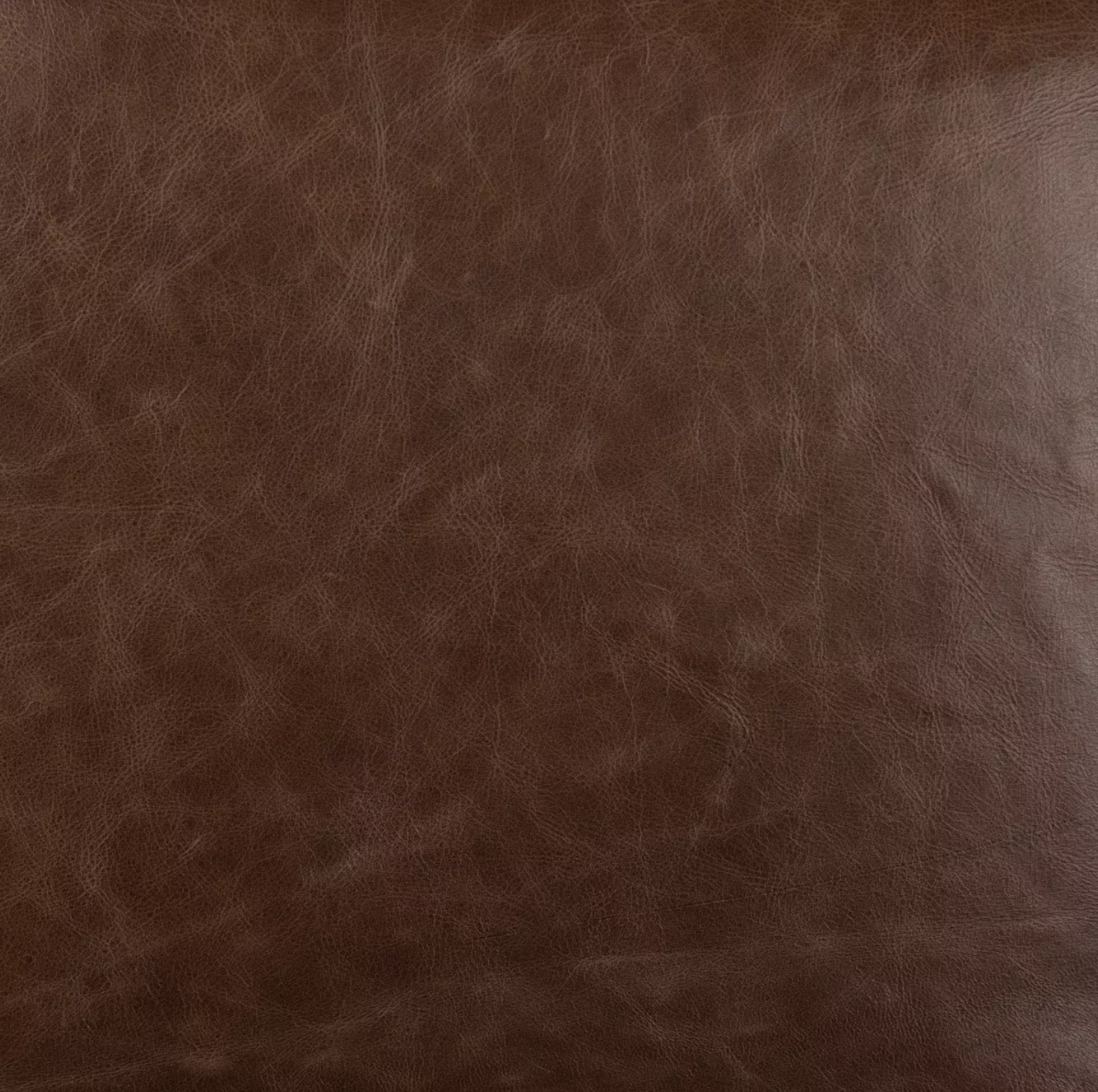 Elara 20" Top Grain Leather Dining Chair - Havana Brown