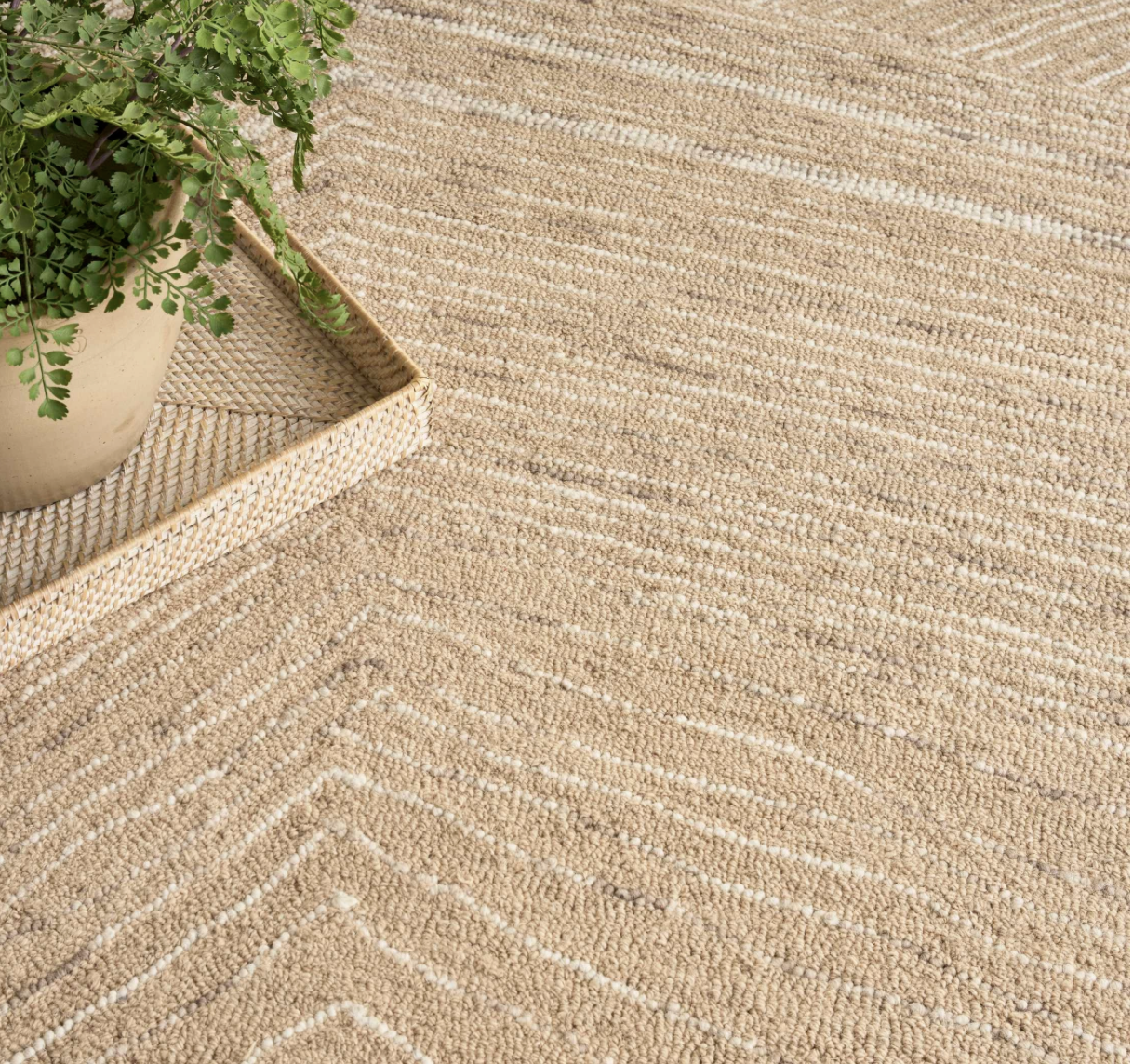 Angel Area Rug - Camel