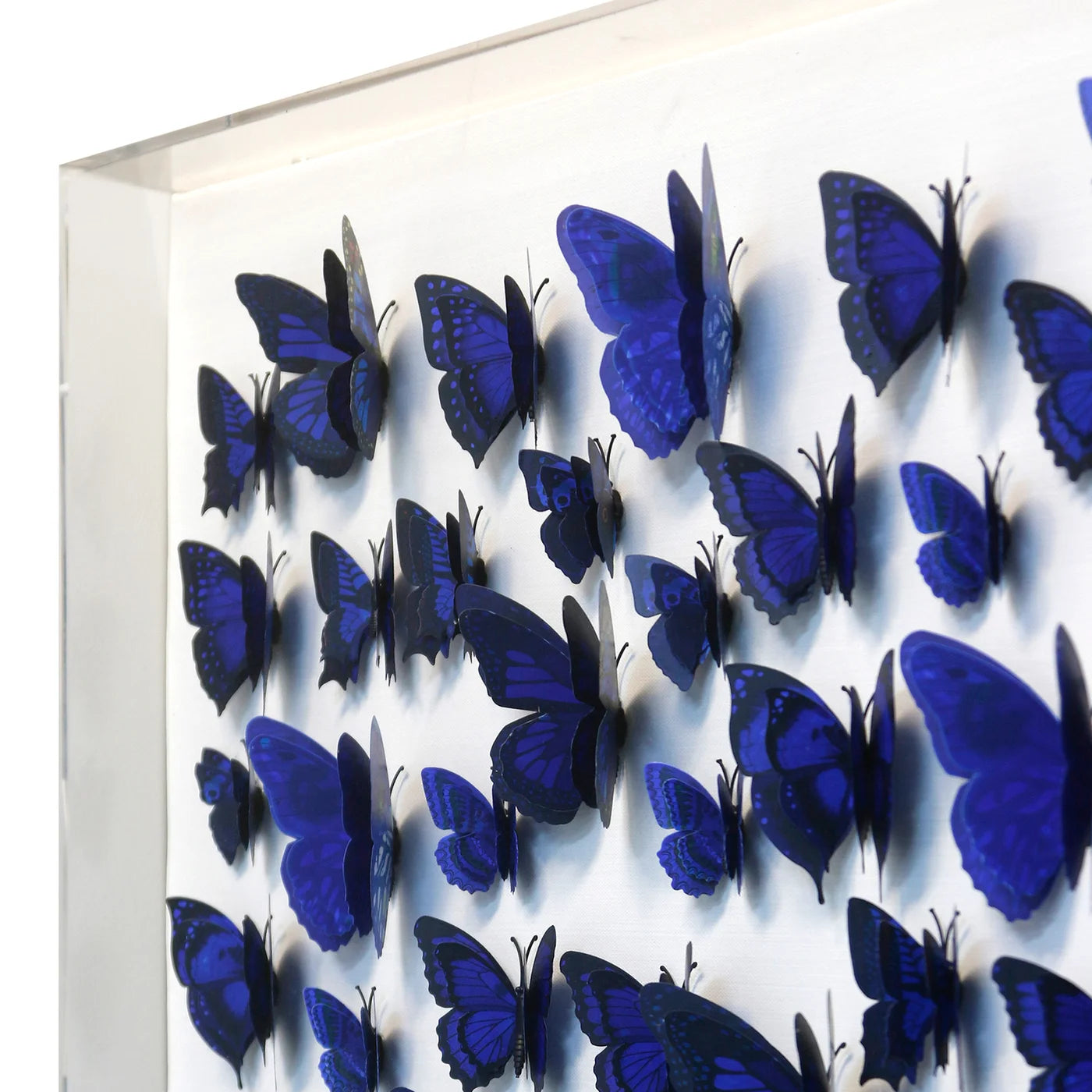 Butterfly 48" Shadow Box Wall Art