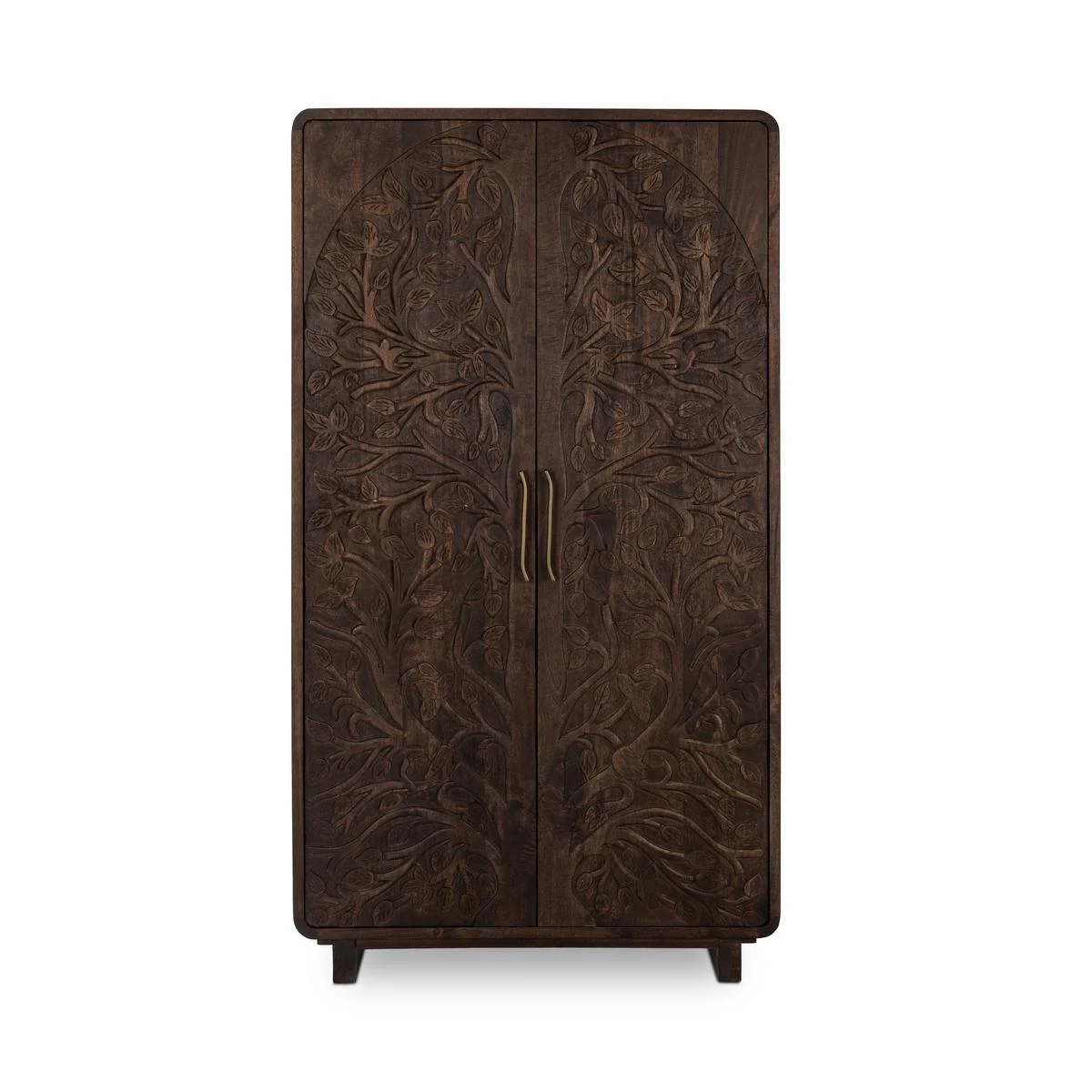 Athens 42" Tall 2 Door Cabinet - Brown