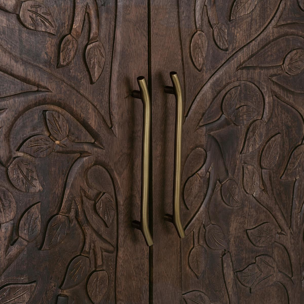 Athens 42" Tall 2 Door Cabinet - Brown