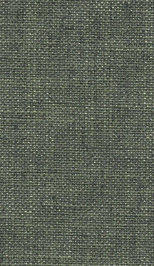 Fabric 2581 - Classic Carolina Home