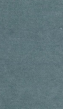 Fabric 3213 - Classic Carolina Home