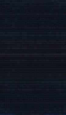 Fabric 3455 - Classic Carolina Home