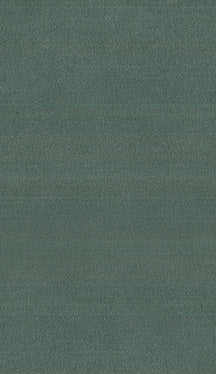 Fabric 3456 - Classic Carolina Home