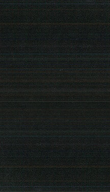 Fabric 3459 - Classic Carolina Home