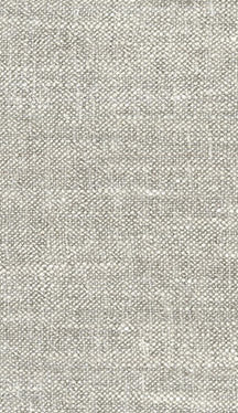 Fabric 3497 - Classic Carolina Home