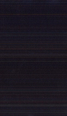 Fabric 3525 - Classic Carolina Home