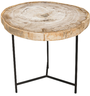Ripley 24" Petrified Wood + Iron Accent Table - Classic Carolina Home