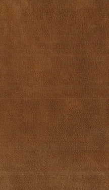 Leather 170 - Classic Carolina Home