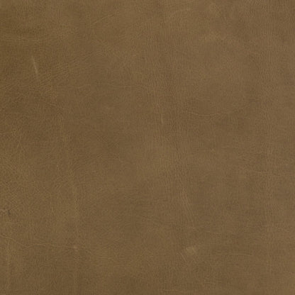 Dian 30" Top Grain Leather Occasional Chair - Dakota Warm Taupe