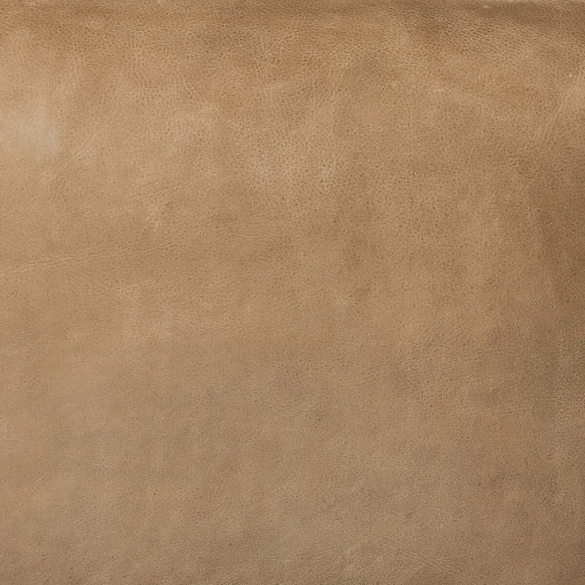 Brisa 28" Top Grain Leather Occasional Chair - Palermo Drift