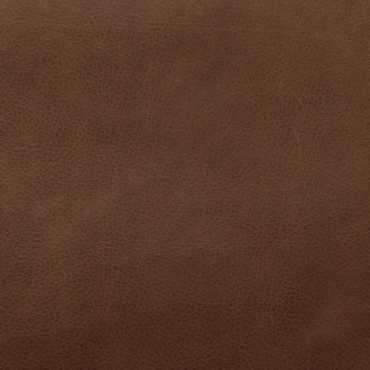 Calliope 20" Top Grain Leather Dining Chair - Palermo Drift