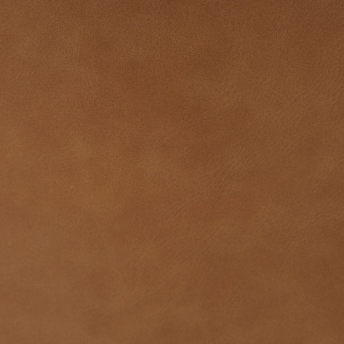 Scottie Top Grain Leather Bar Stool - Performance Natural