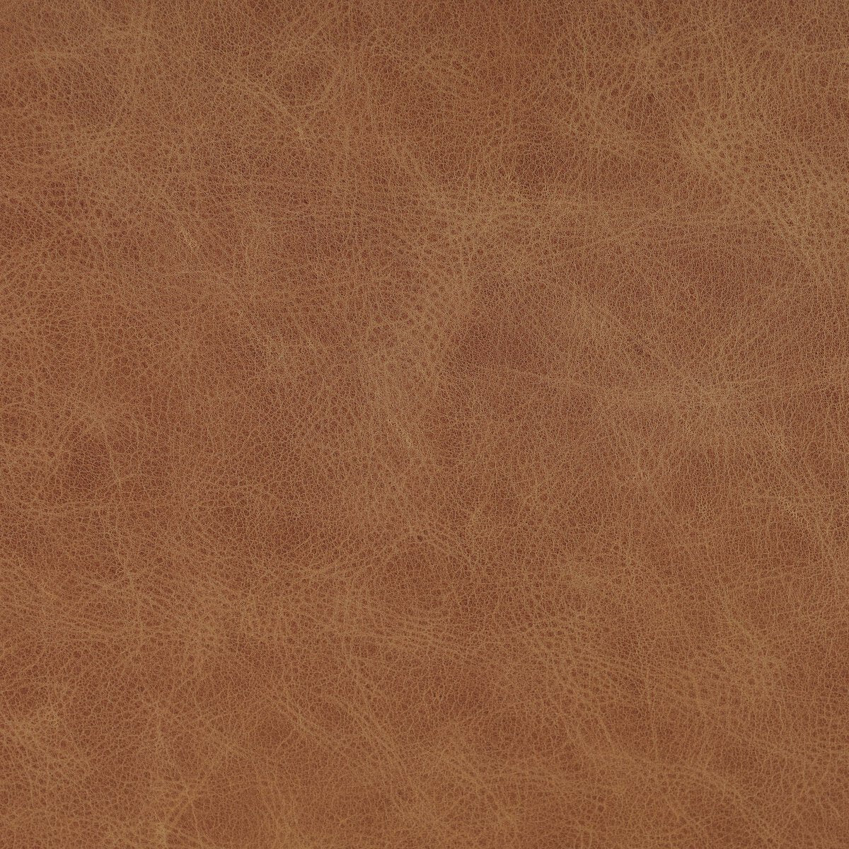 Quinn 20" Top Grain Leather Dining Chair - Chaps Saddle