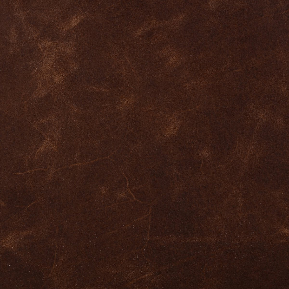 Harvey 34" Top Grain Leather Occasional Chair - Monte Chocolate