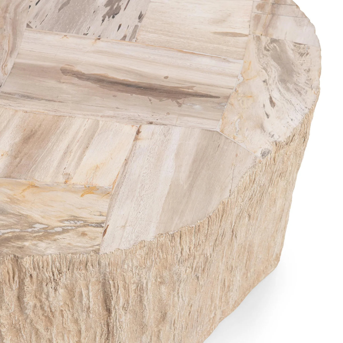 Mossi 38" Petrified Wood Coffee Table - Coastal Birch