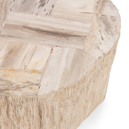 Mossi 38" Petrified Wood Coffee Table - Coastal Birch