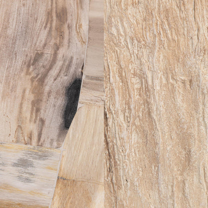 Mossi 38" Petrified Wood Coffee Table - Coastal Birch