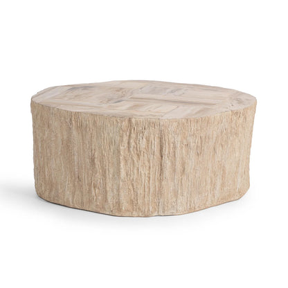 Mossi 38" Petrified Wood Coffee Table - Coastal Birch
