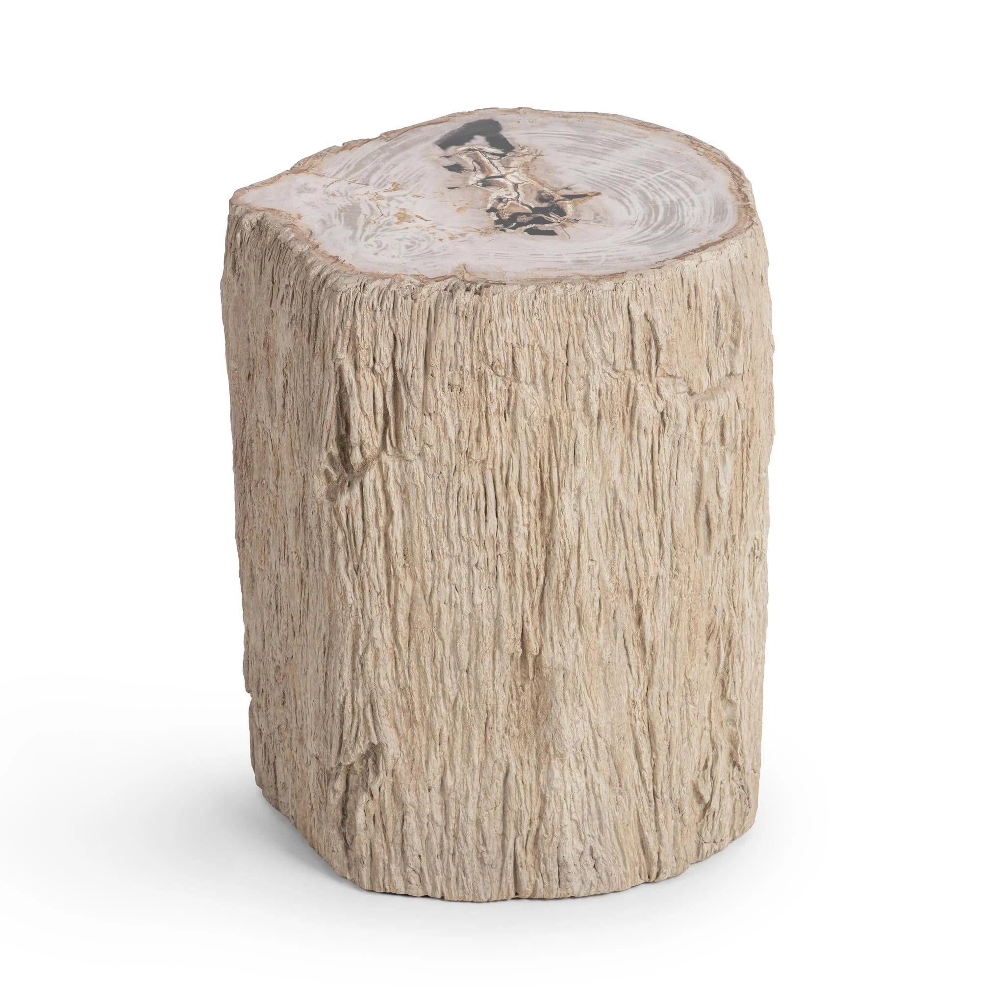 Mossi 18" Petrified Wood End Table - Coastal Birch (Copy)