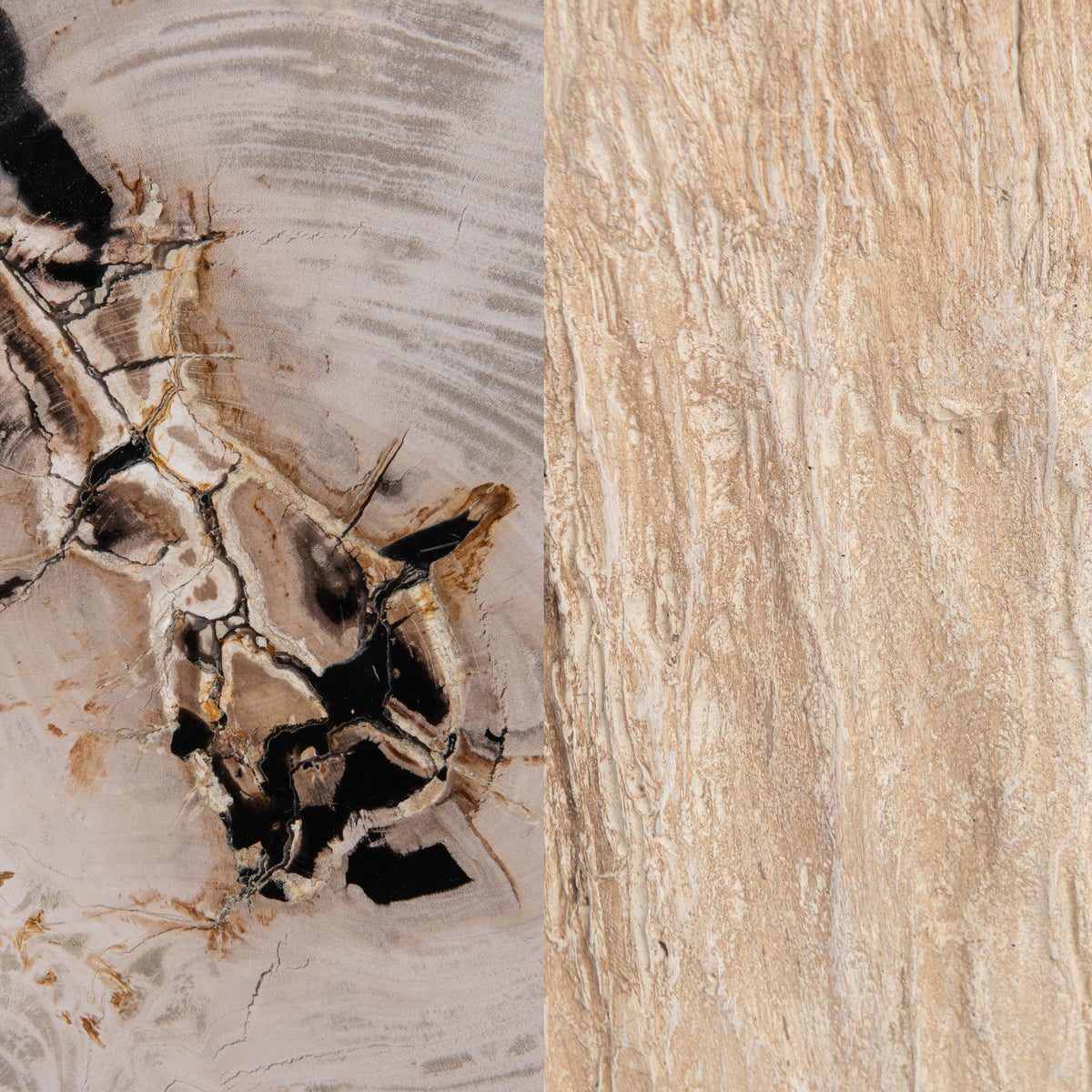 Mossi 18" Petrified Wood End Table - Coastal Birch (Copy)