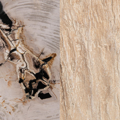 Mossi 18" Petrified Wood End Table - Coastal Birch (Copy)