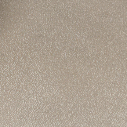 Jettson 46" Top Grain Leather Swivel Chair - Sand Cloud