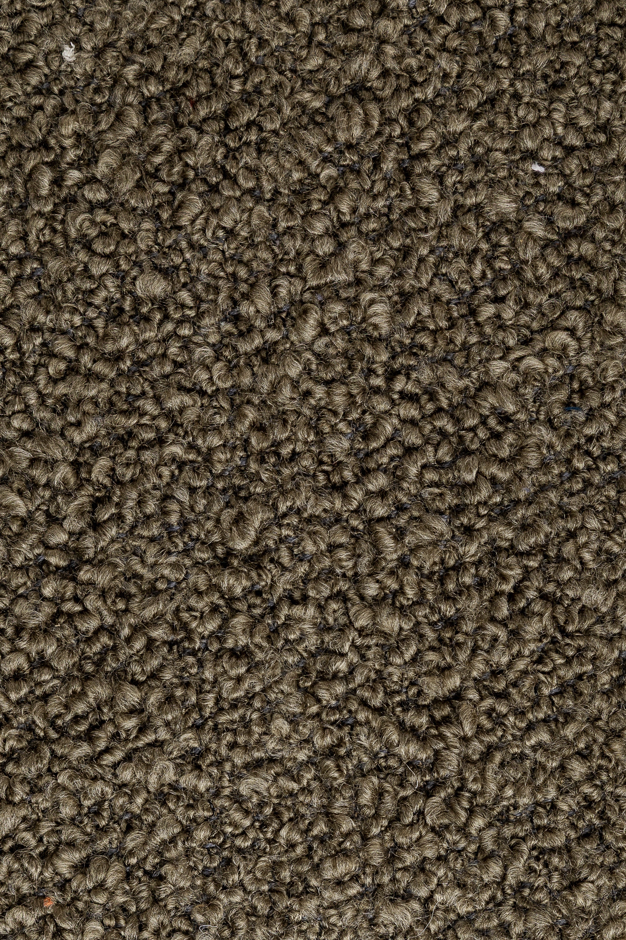 Express Ship Fabric 193