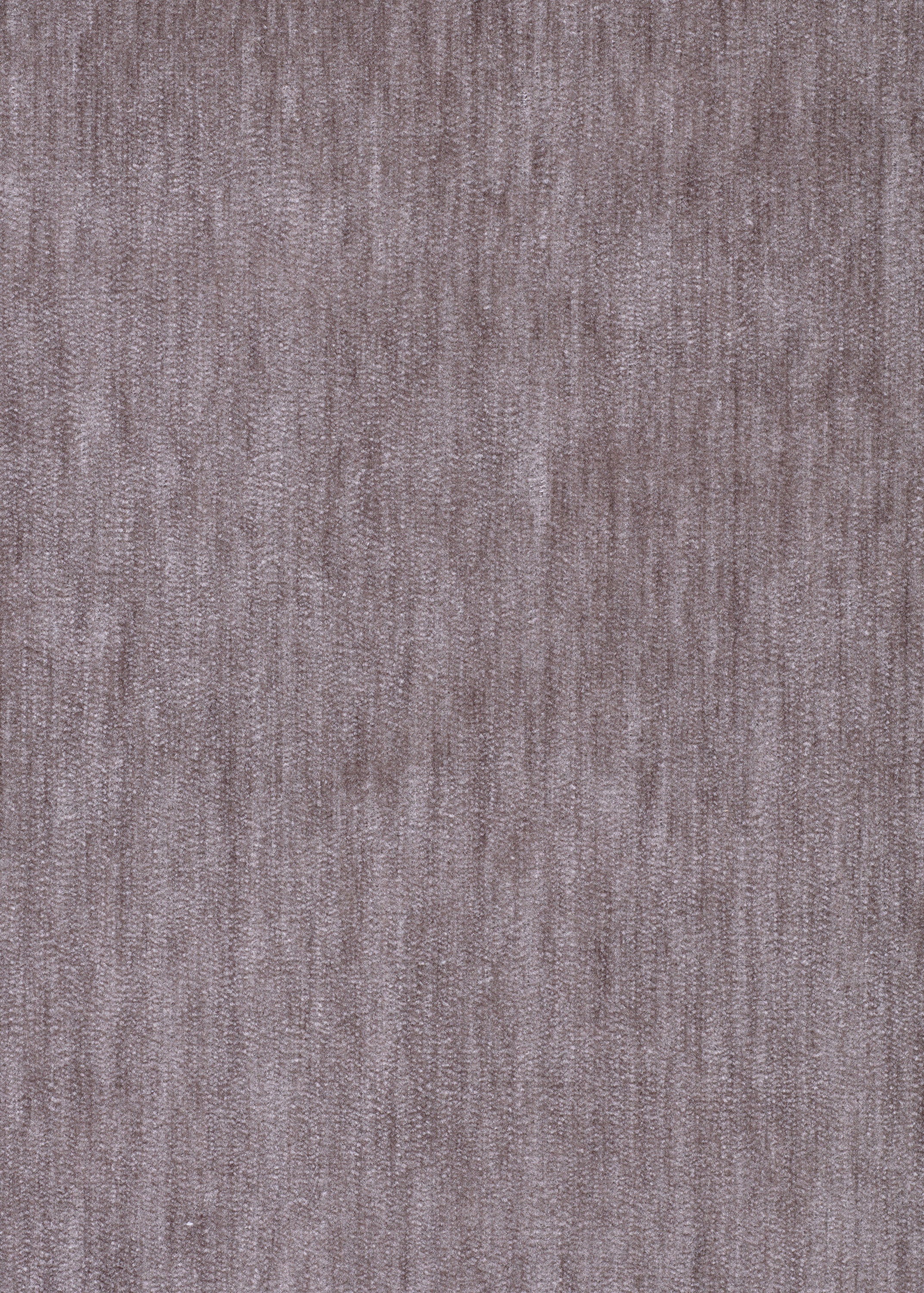 Express Ship Fabric 3545