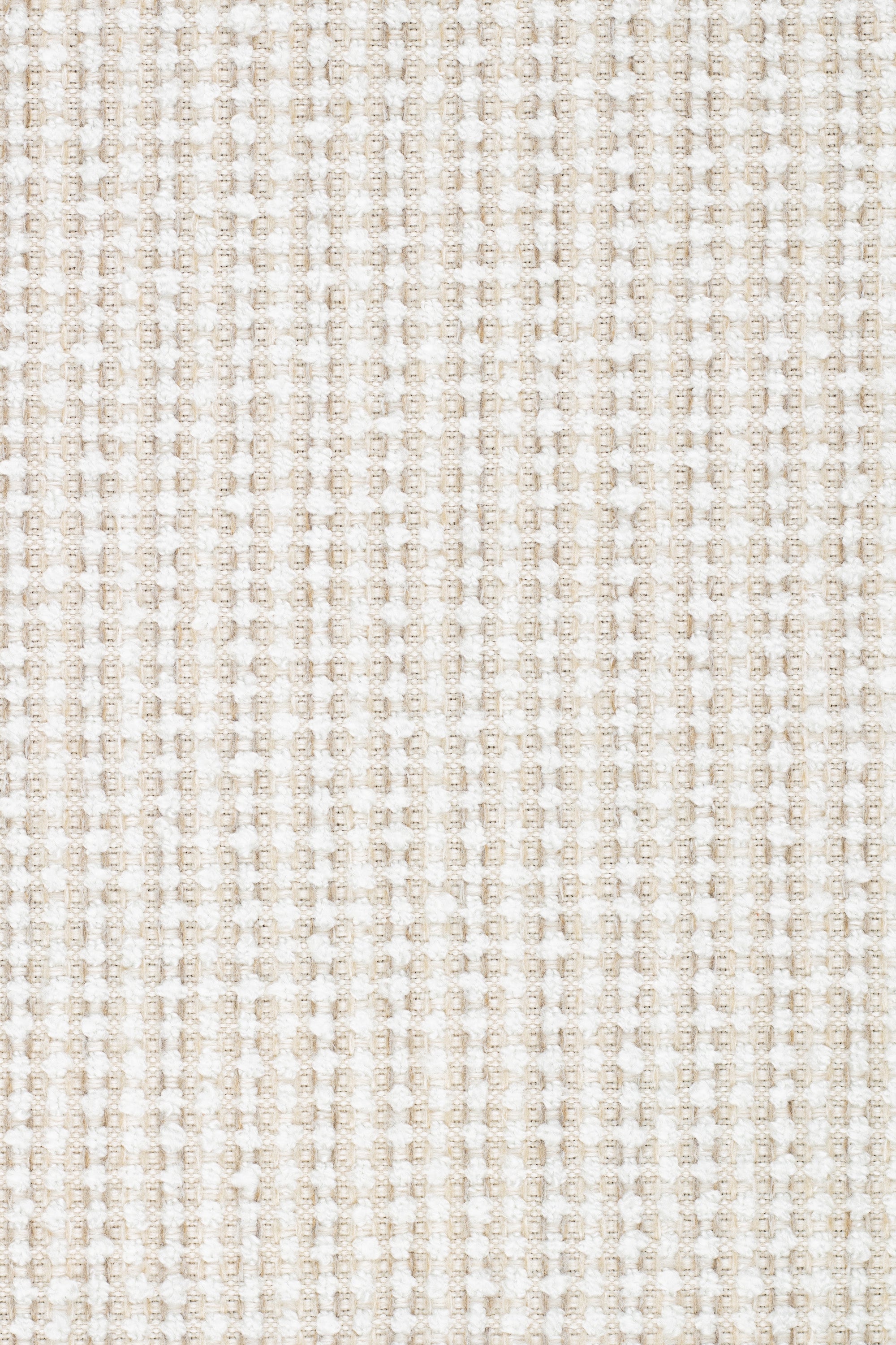 Express Ship Fabric 3955