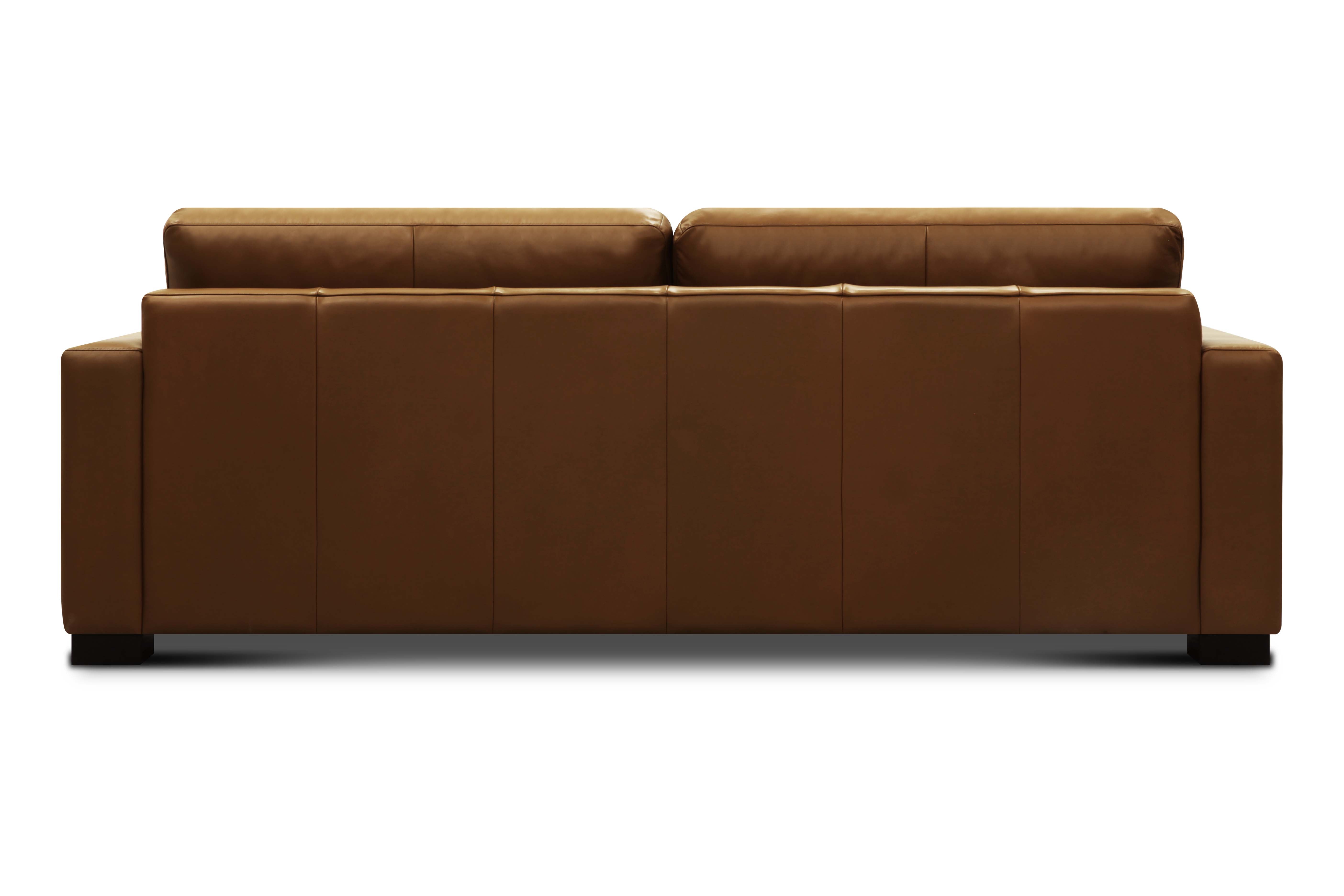 Norton 90" Top Grain Leather 2 Cushion Sofa - Amadeus Whiskey