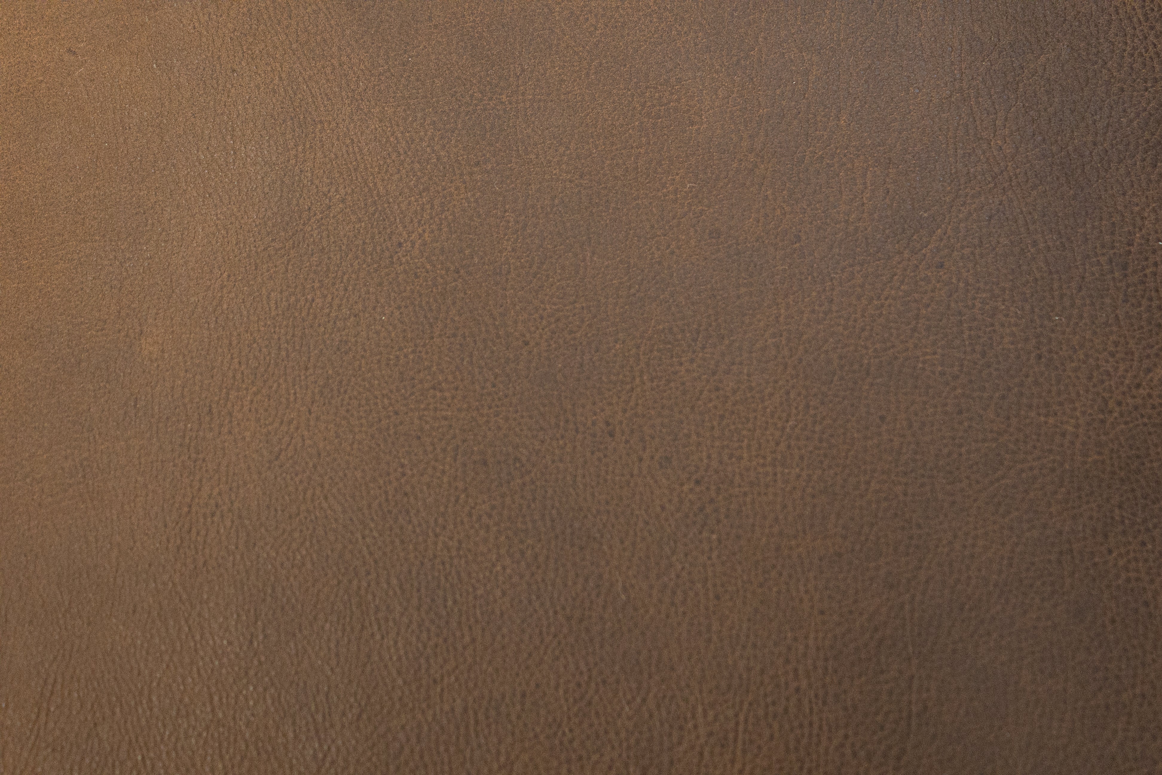 Raphael 124" Top Grain Leather Sofa w/Right Arm Facing Chaise - Napa Fudge