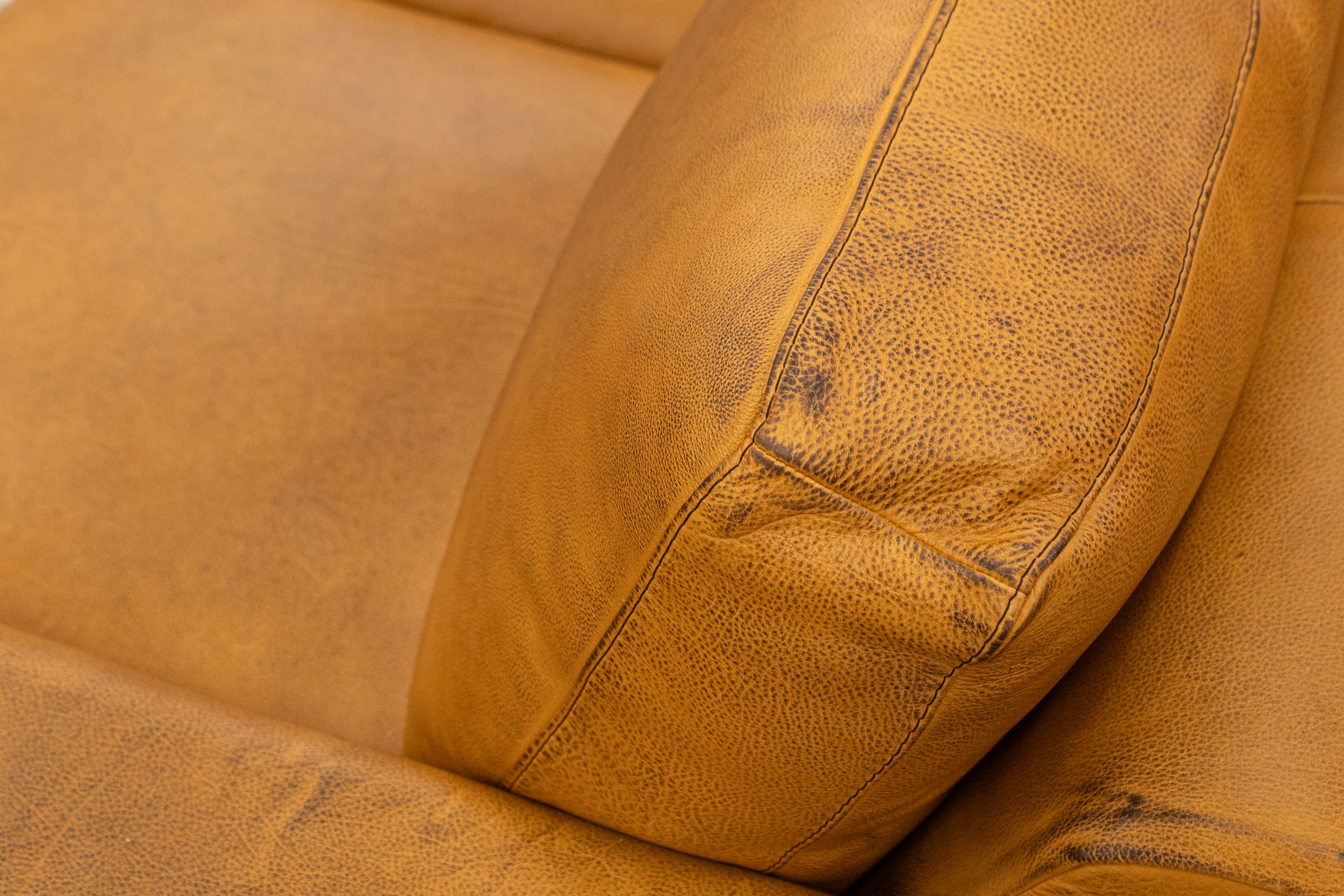 Norton 64" Top Grain Leather 2 Cushion Loveseat - Diva Mustang