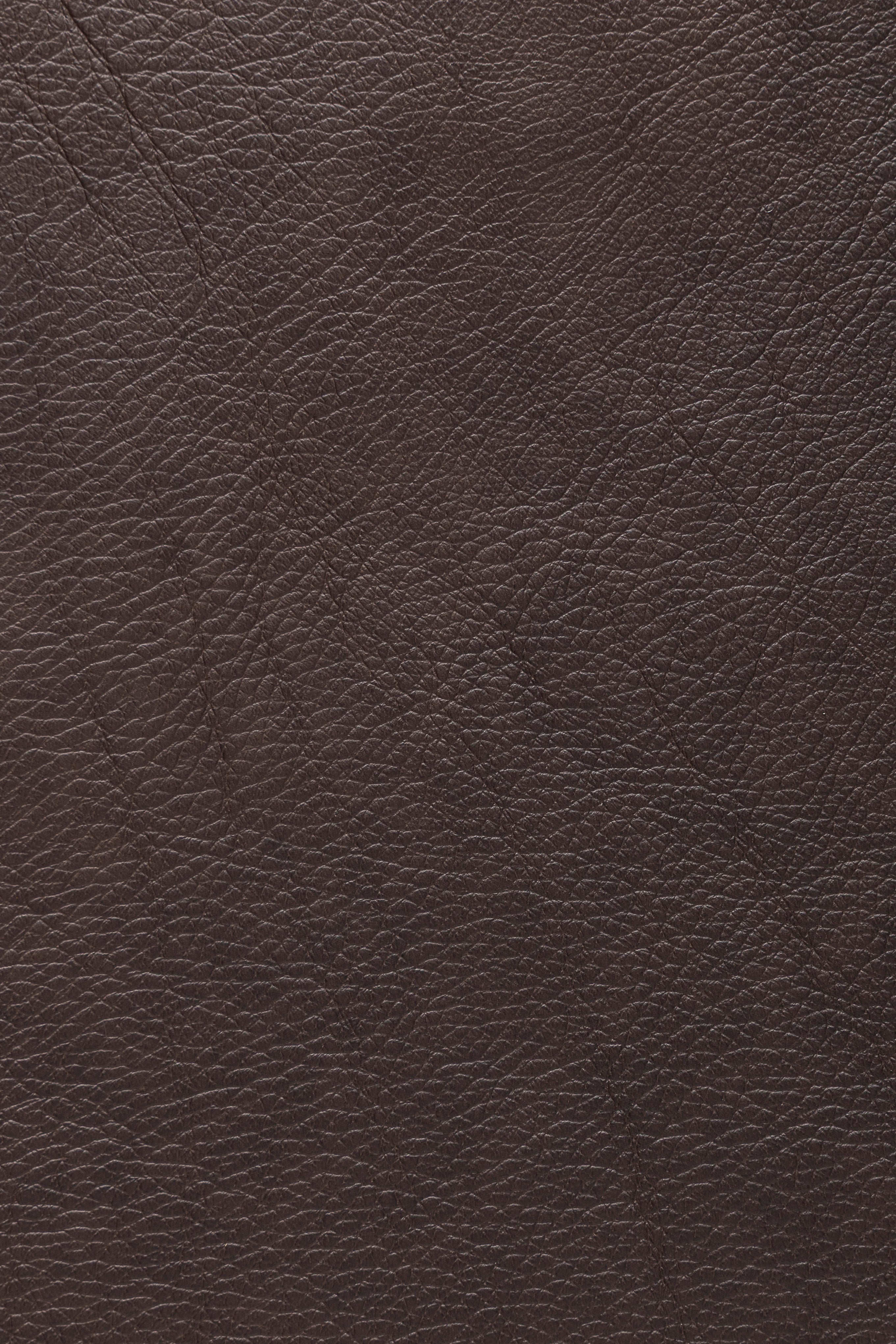 Express Ship Leather 133