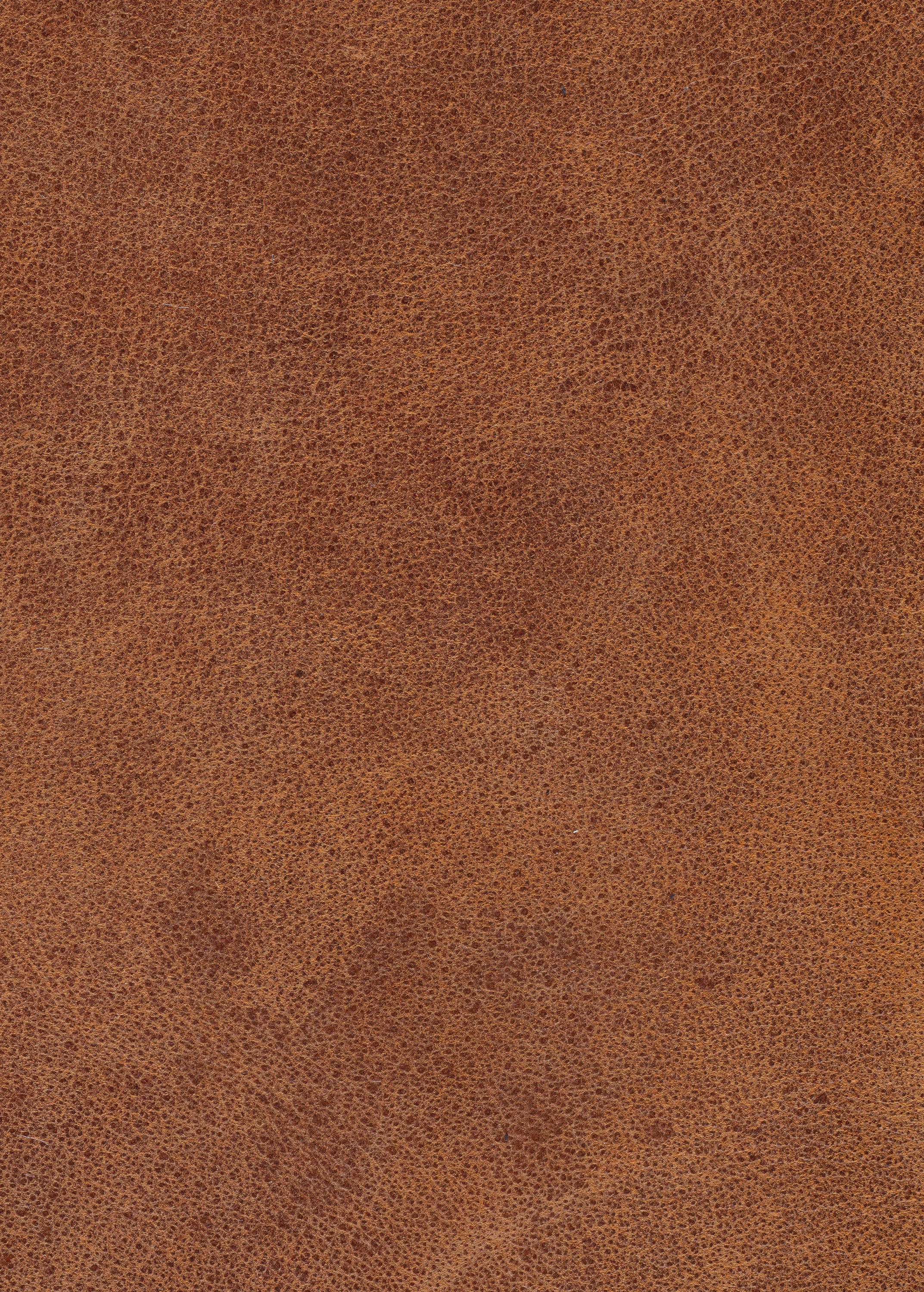 Express Ship Leather 170