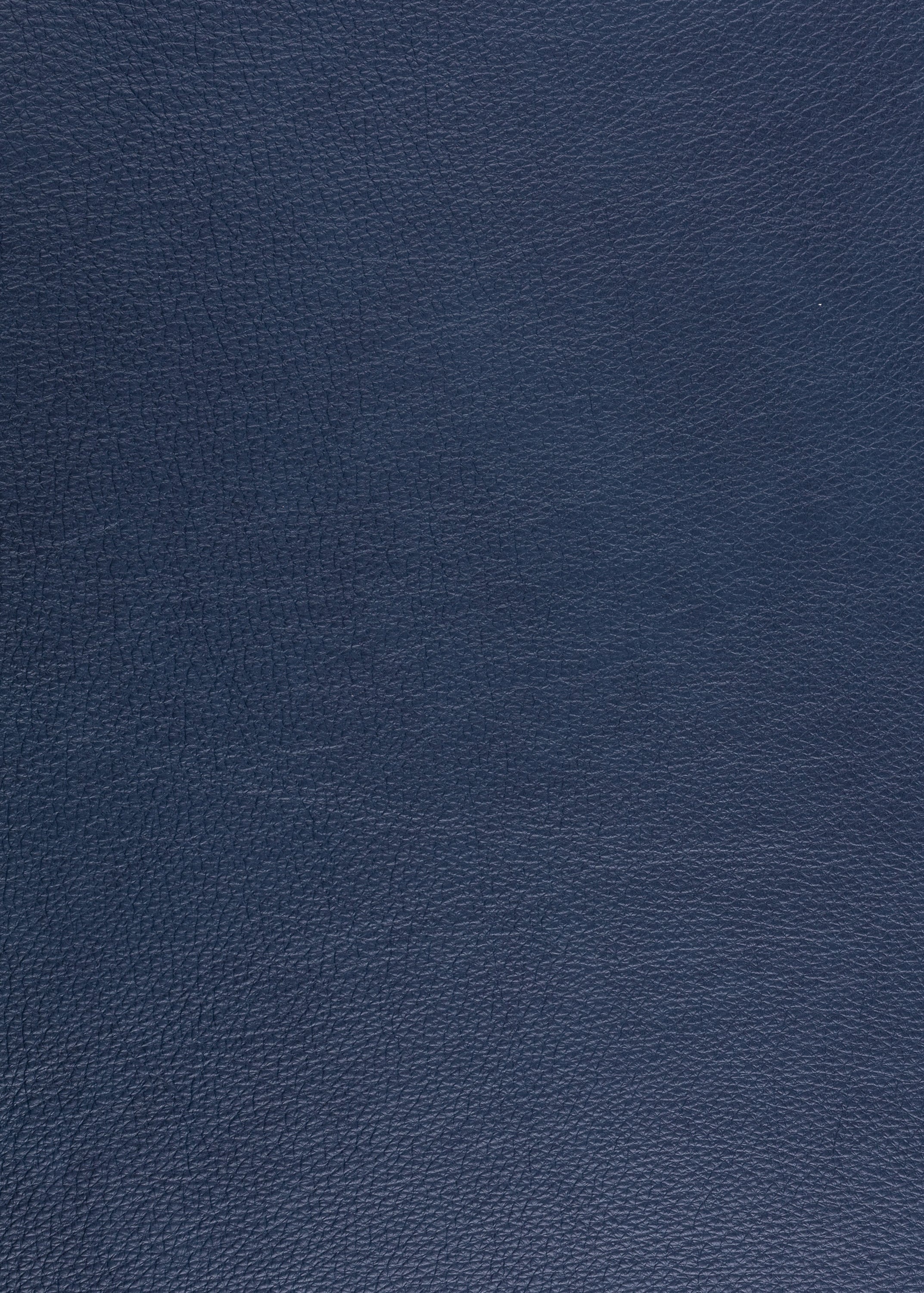 Express Ship Leather 185