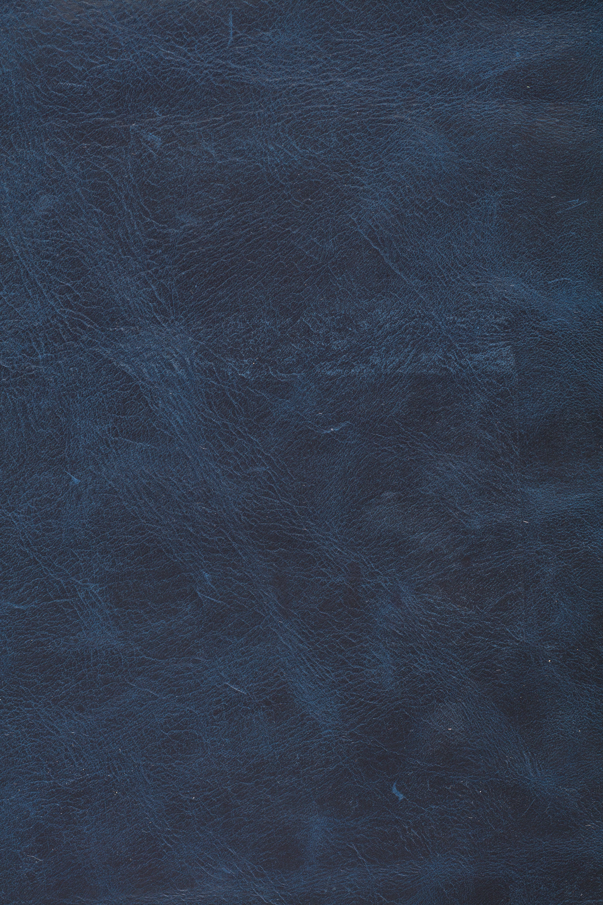 Express Ship Leather 230