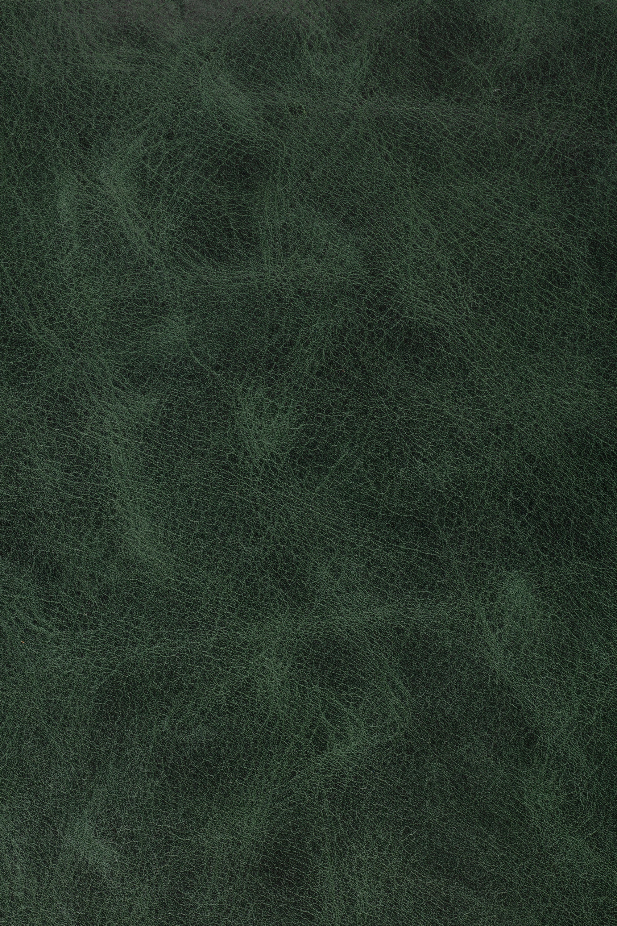 Express Ship Leather 231