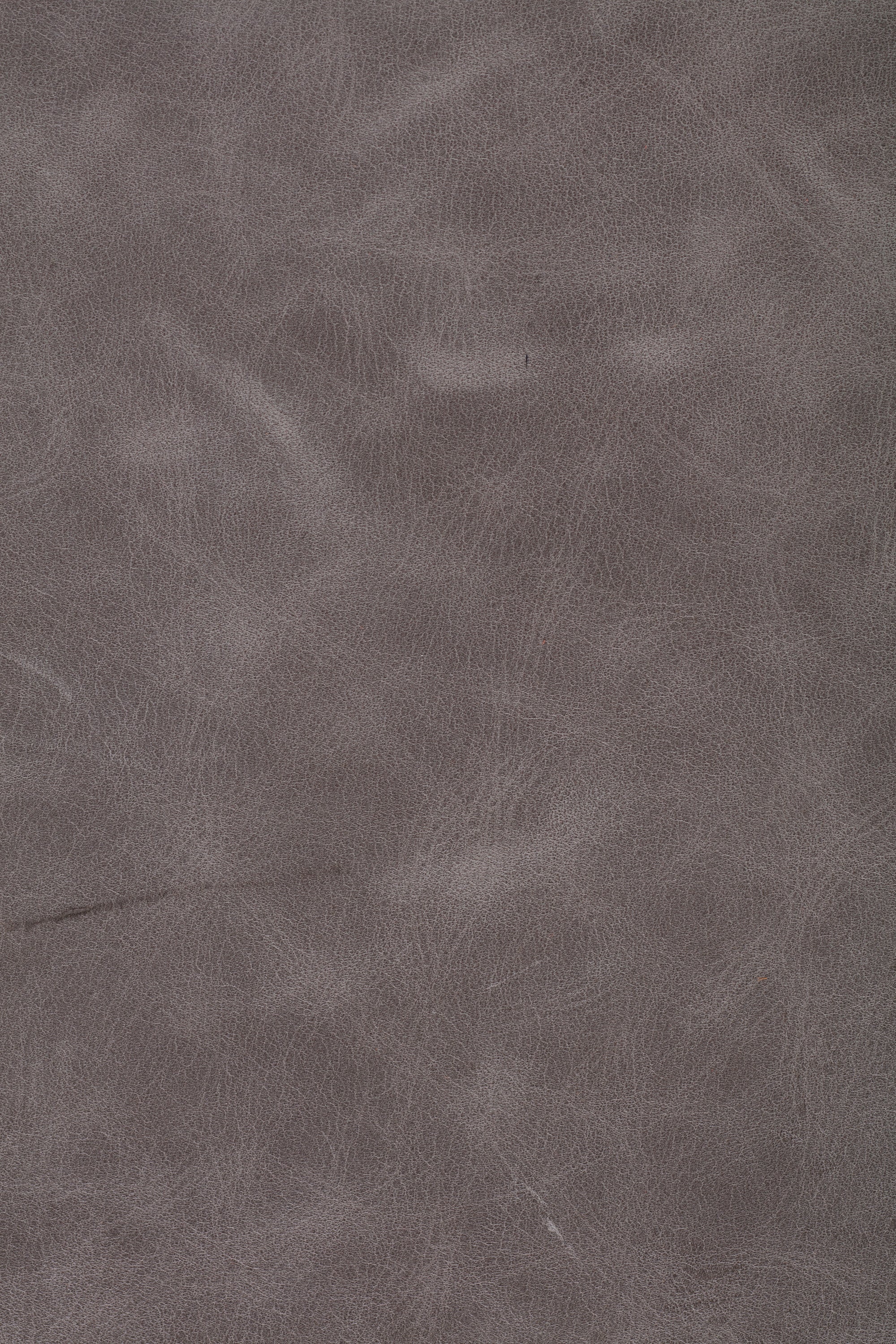 Express Ship Leather 233