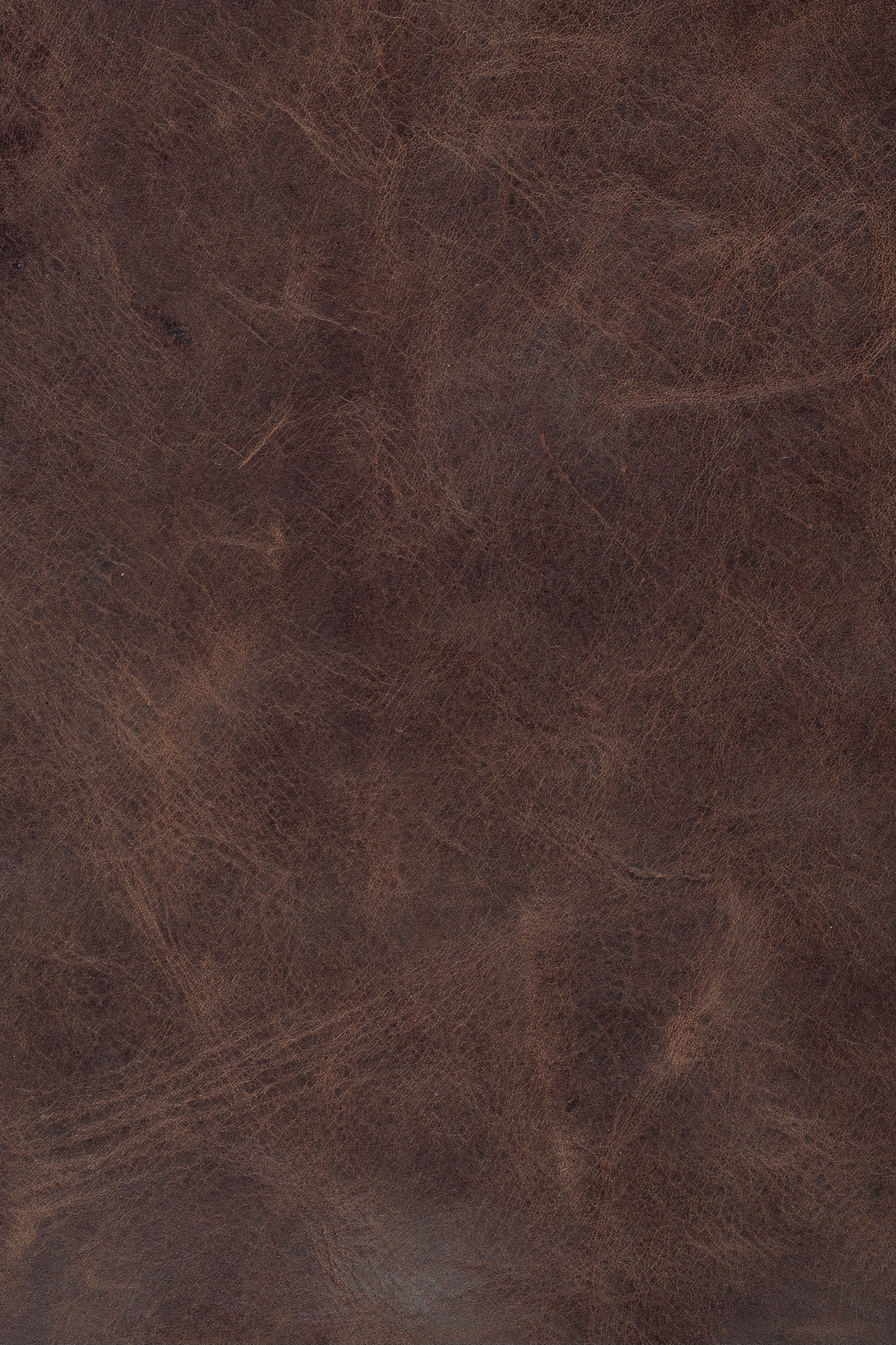 Express Ship Leather 241