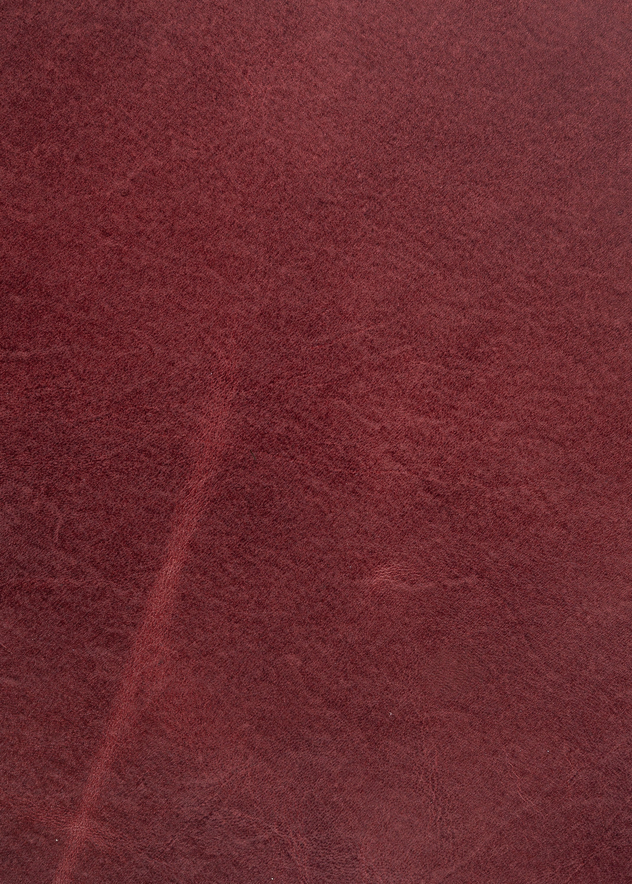 Express Ship Leather 259