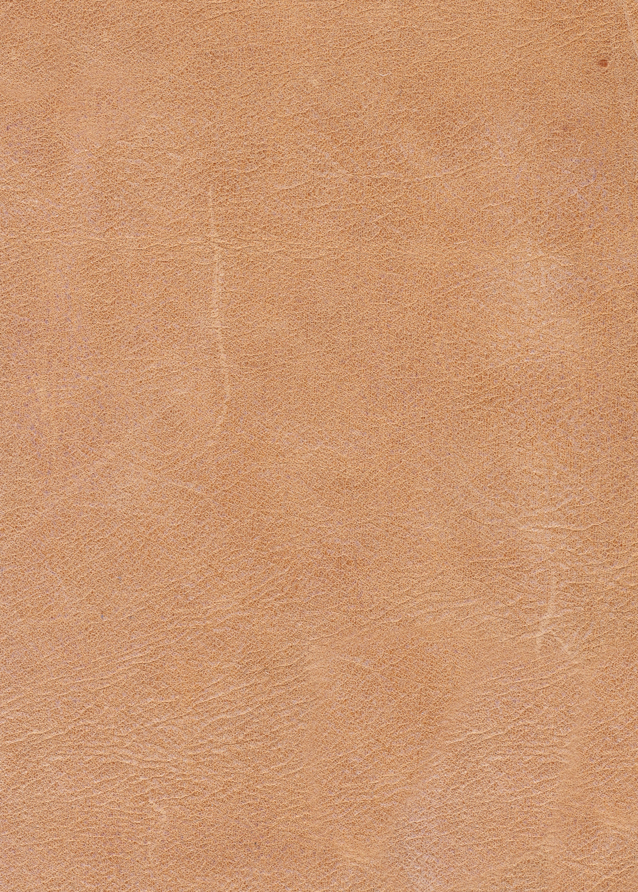 Express Ship Leather 530