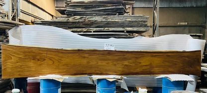 Nicoya 240" Guanacaste Live Edge Gathering Table - Natural - SN474