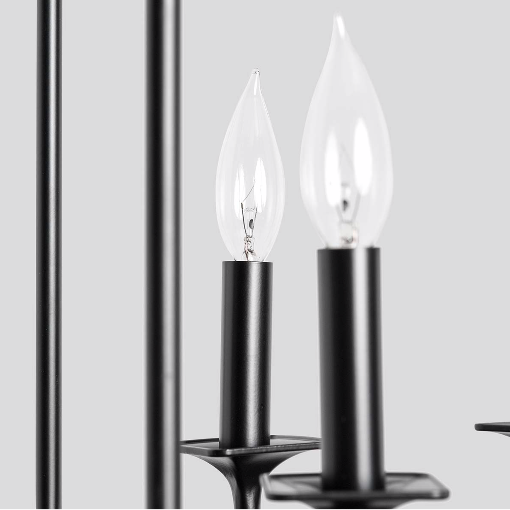 Luzerne 20" Iron Chandelier - Black