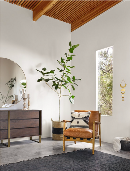 Salvatore 28" Top Grain Leather Chair - Copper + Ash