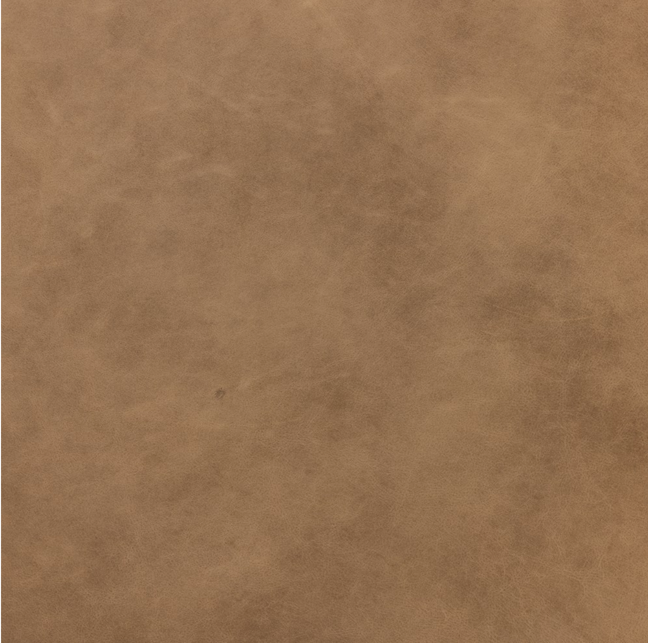 Quentin 27" Top Grain Leather Swivel Chair - Taupe