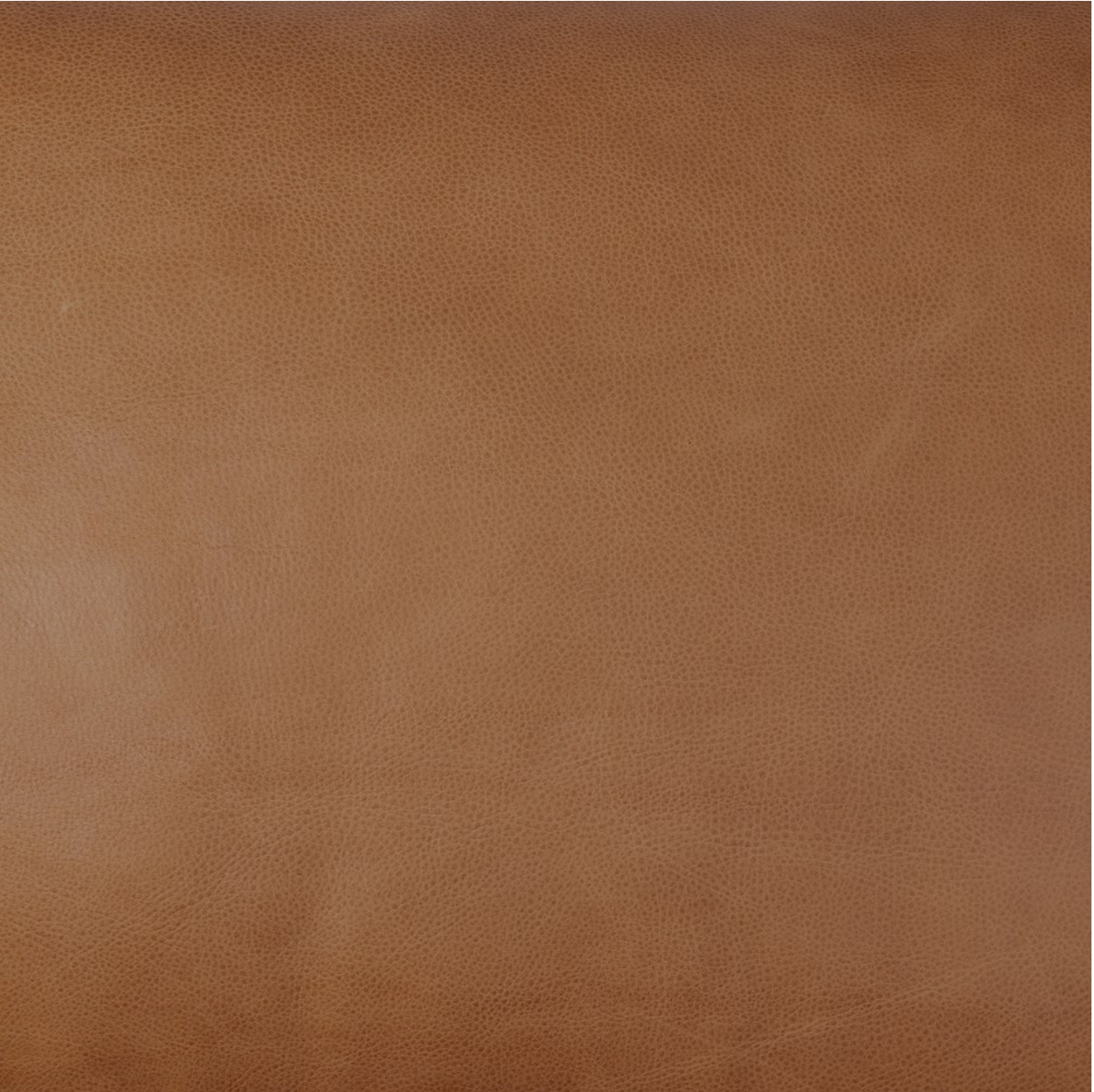 Rhett 76" Top Grain Leather 2 Cushion Sofa - Cognac