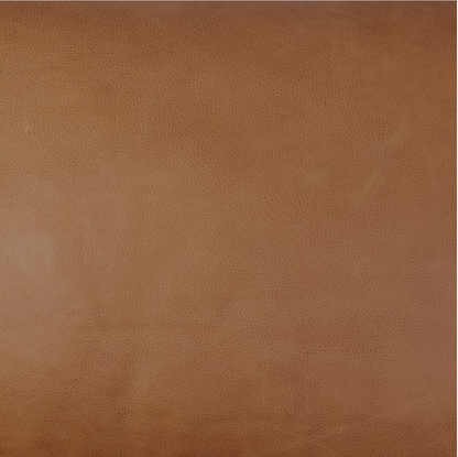 Rhett 76" Top Grain Leather 2 Cushion Sofa - Cognac